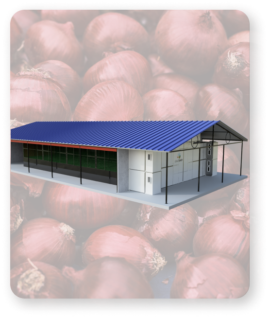 Coldeasy Onion Seeds | Onion Variety for Farming